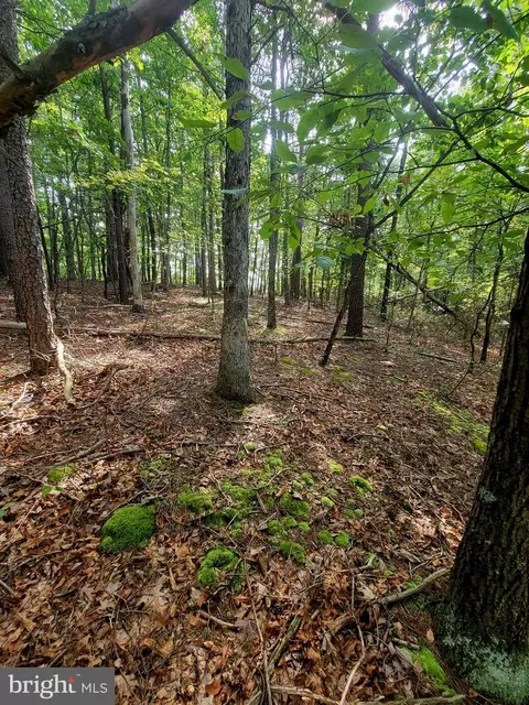 354 Pegasus, Hedgesville, WV 25427