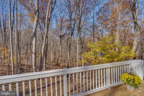 889 Emerson Dr, Falling Waters, WV 25419 photo 25