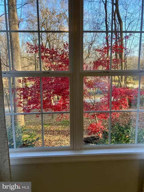 889 Emerson Dr, Falling Waters, WV 25419 photo 3