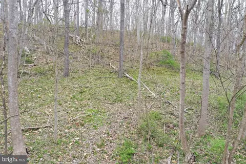 Saunders Drive, Falling Waters, WV 25419 photo 2