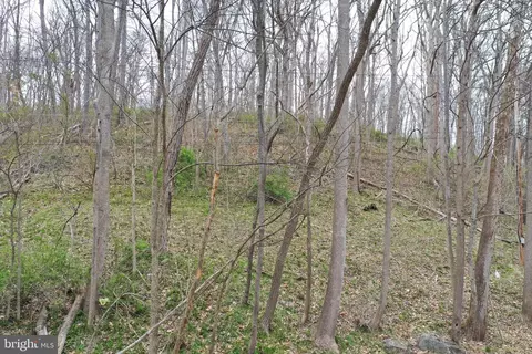 Saunders Drive, Falling Waters, WV 25419 photo 5