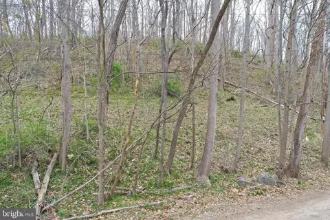 Saunders Drive, Falling Waters, WV 25419 photo 4