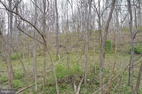 Saunders Drive, Falling Waters, WV 25419 photo 6