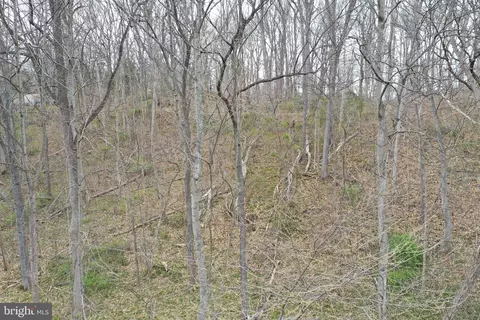 Saunders Drive, Falling Waters, WV 25419 photo 7