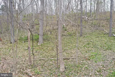Saunders Drive, Falling Waters, WV 25419 photo 3