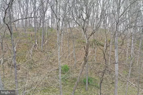 Saunders Drive, Falling Waters, WV 25419 photo 8