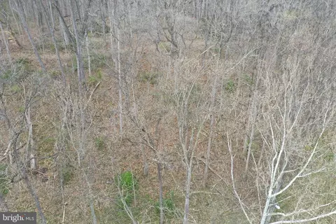 Saunders Drive, Falling Waters, WV 25419 photo 9