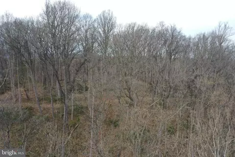 Saunders Drive, Falling Waters, WV 25419 photo 11