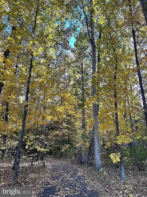 Other - 2414 Grade Rd, Falling Waters, WV 25419 photo 5 of 5