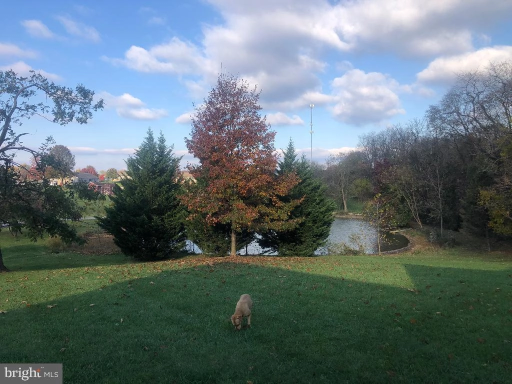 Other - 98 Chariot Ln, Falling Waters, WV 25419 photo 5 of 5