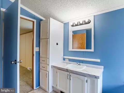 252 Imperial Way, Falling Waters, WV 25419 photo 14