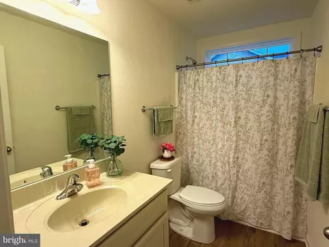114 Saffron Ter, Falling Waters, WV 25419 photo 23