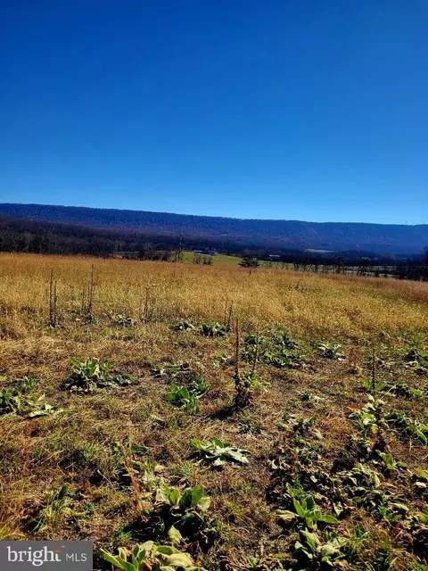 Norman Silvers Drive, Hedgesville, WV 25427