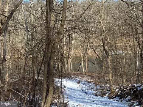 449 Lockhouse Rd, Falling Waters, WV 25419 photo 67