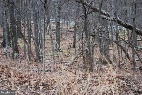 lot Apt 1 Terrain Dr, Hedgesville, WV 25427