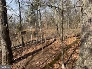 136 Cannon Hill Rd, Hedgesville, WV 25427