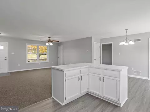 243 Violet Ln, Falling Waters, WV 25419 photo 10