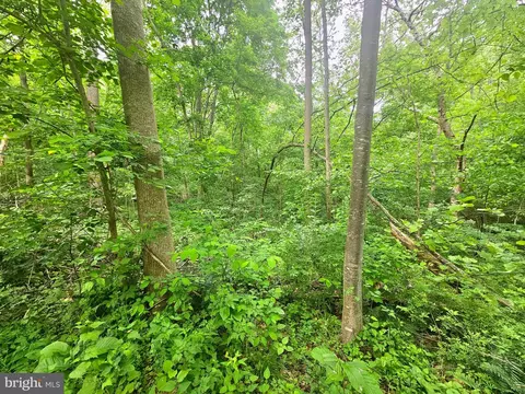 250 Burnside Dr, Falling Waters, WV 25419 photo 19