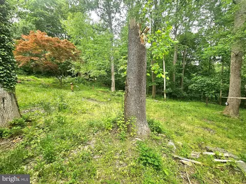 250 Burnside Dr, Falling Waters, WV 25419 photo 16