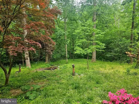 250 Burnside Dr, Falling Waters, WV 25419 photo 6