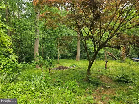 250 Burnside Dr, Falling Waters, WV 25419 photo 4