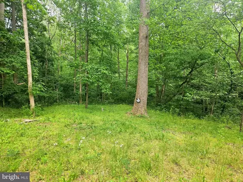 250 Burnside Dr, Falling Waters, WV 25419 photo 15