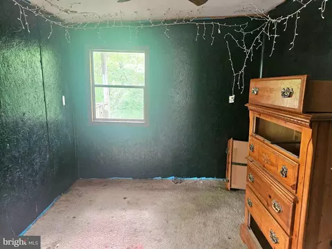 250 Burnside Dr, Falling Waters, WV 25419 photo 11