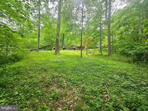 250 Burnside Dr, Falling Waters, WV 25419 photo 20