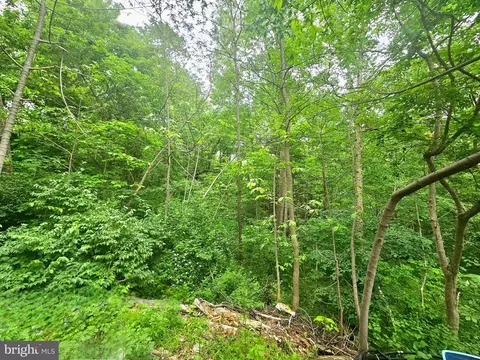 250 Burnside Dr, Falling Waters, WV 25419 photo 26