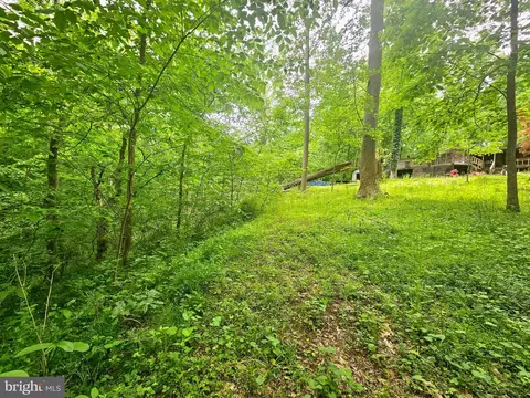 250 Burnside Dr, Falling Waters, WV 25419 photo 21