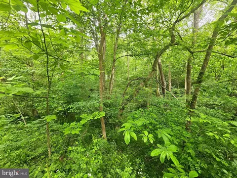 250 Burnside Dr, Falling Waters, WV 25419 photo 17