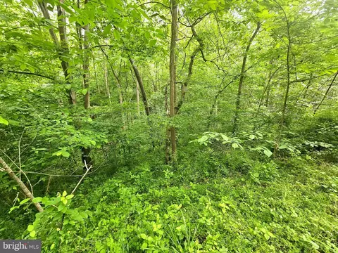 250 Burnside Dr, Falling Waters, WV 25419 photo 18