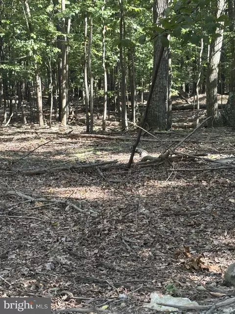 Terrain Drive, Hedgesville, WV 25427