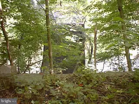 111 Aspero Ln, Falling Waters, WV 25419 photo 7