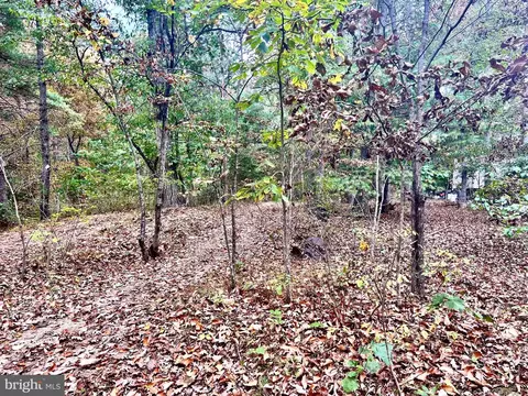 Parcel 38 Conservation Drive, Hedgesville, WV 25427