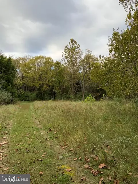 Williamsport Pike, Falling Waters, WV 25419