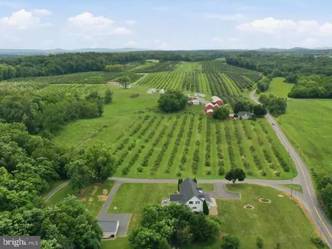View/Area - 25 Mish Rd, Bunker Hill, WV 25413 photo 5 of 7