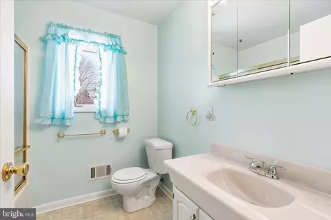 Bath - 225 Keepsake Dr, Falling Waters, WV 25419 photo 3 of 3