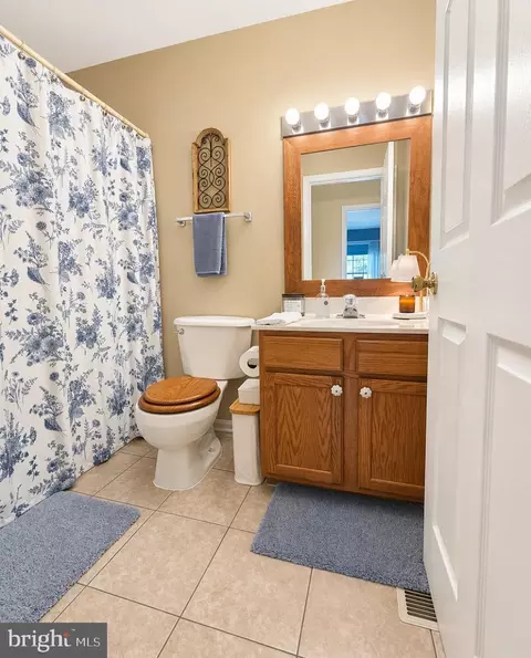 Bath - 61 Clemson Dr, Falling Waters, WV 25419 photo 3 of 4