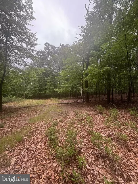 lot55 Grimaldi, Hedgesville, WV 25427