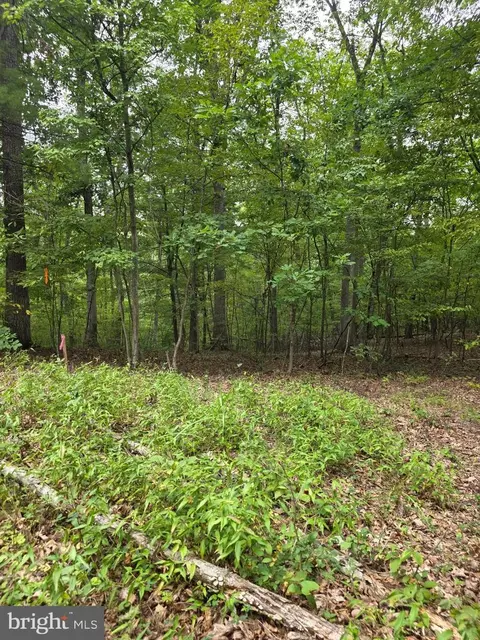 Pink Dogwood Lane, Hedgesville, WV 25427