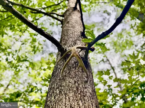 1 South Teter Creek Road, Belington, WV 26250