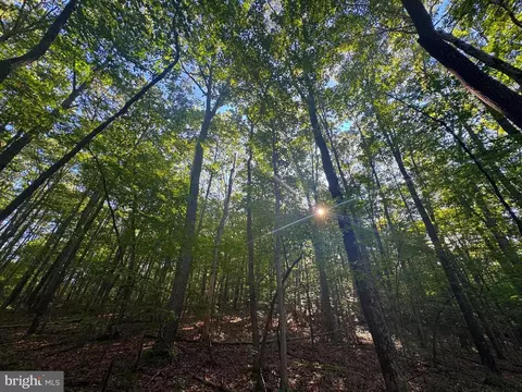 2 South Teter Creek Road, Belington, WV 26250