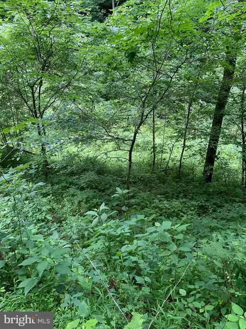 Route 5, Renick, WV 24966