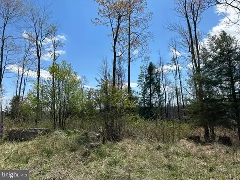 Cherry Ridge Road, Mount Storm, WV 26739