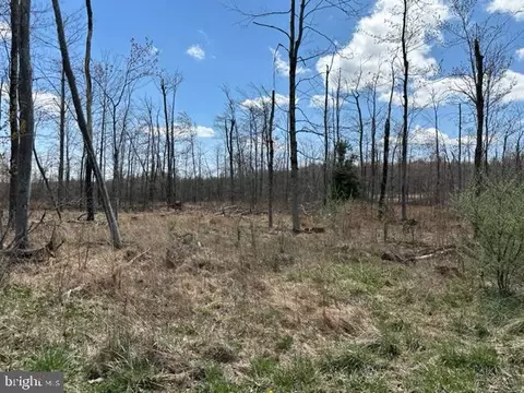 Cherry Ridge Road, Mount Storm, WV 26739