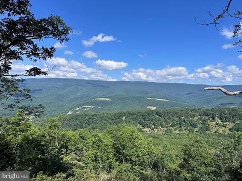 Panther Road, Maysville, WV 26833