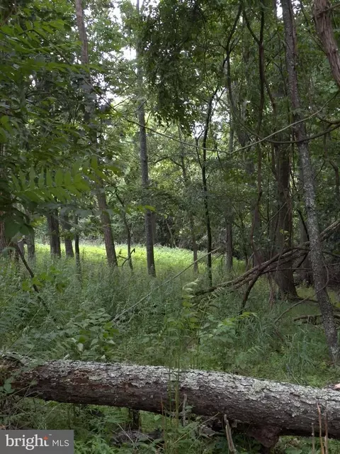 6 Ac Off Crownridge Rd, Petersburg, WV 26847