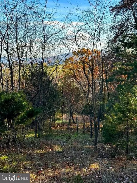 48 Squirrel Den Road, Maysville, WV 26833