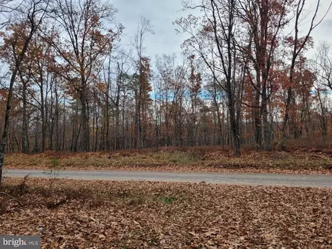 Hinkle Mountain Rd/ Deep Spring Rd, Petersburg, WV 26847 photo 35